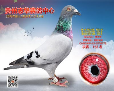 贵州志华决赛152名