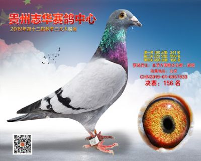贵州志华决赛156名