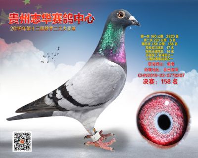 贵州志华决赛158名