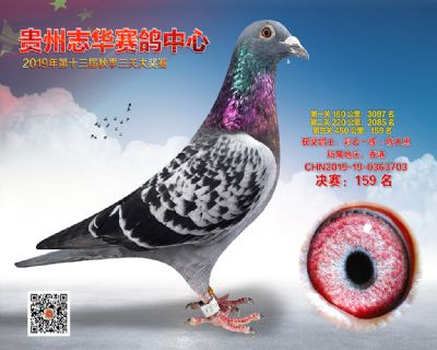 贵州志华决赛159名