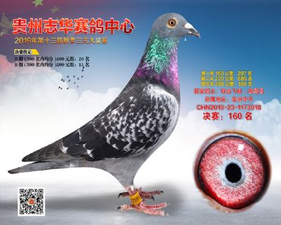 贵州志华决赛160名