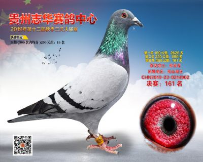 贵州志华决赛161名