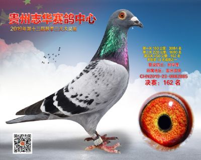 贵州志华决赛162名