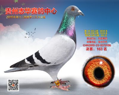 贵州志华决赛163名
