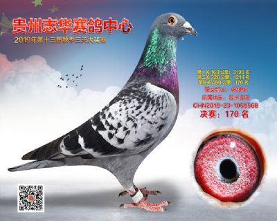 贵州志华决赛170名