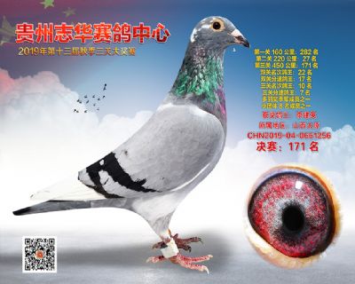 贵州志华决赛171名