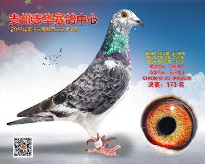 贵州志华决赛173名