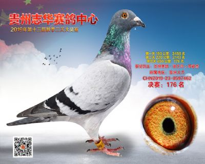 贵州志华决赛176名