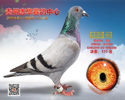 贵州志华决赛177名