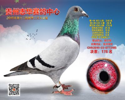 贵州志华决赛178名