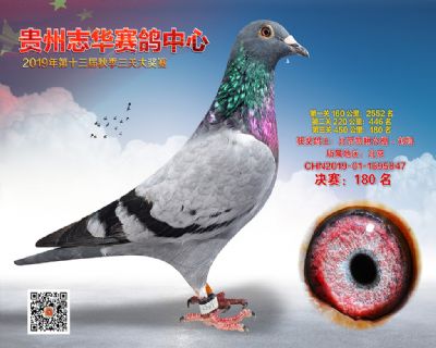 贵州志华决赛180名