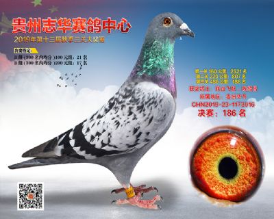 贵州志华决赛186名