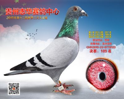 贵州志华决赛189名