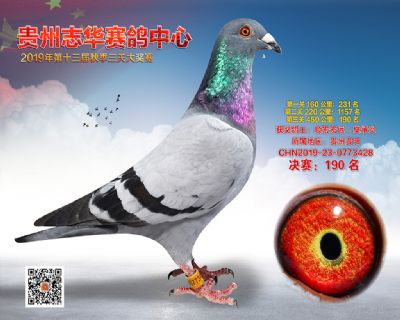 贵州志华决赛190名