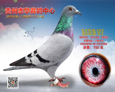 贵州志华决赛192名