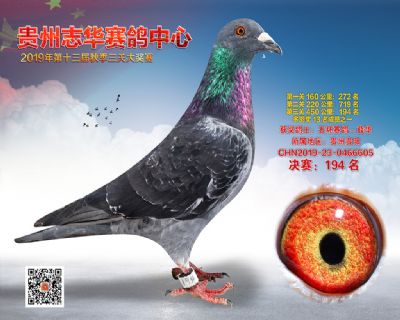 贵州志华决赛194名