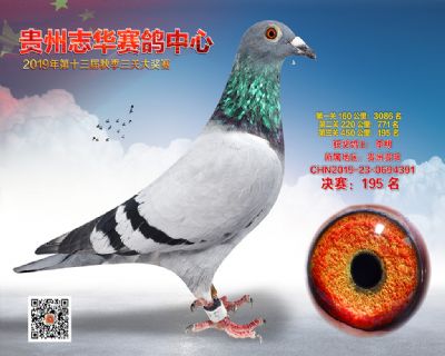 贵州志华决赛195名