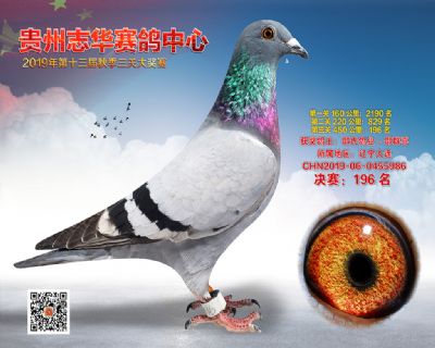 贵州志华决赛196名