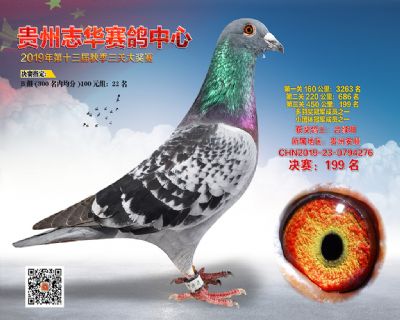 贵州志华决赛199名