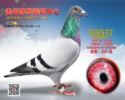 贵州志华决赛201名