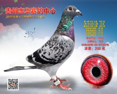 贵州志华决赛202名