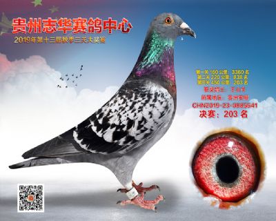 贵州志华决赛203名