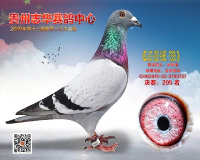 贵州志华决赛205名