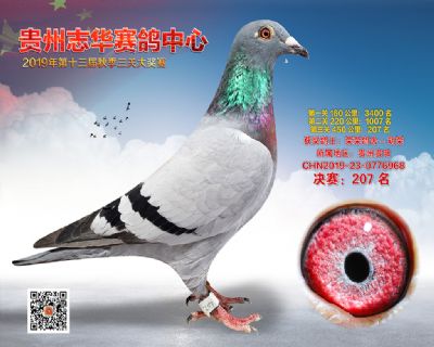 贵州志华决赛207名