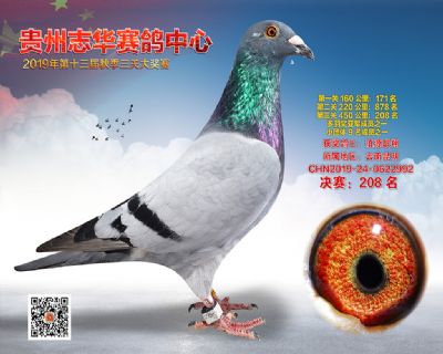 贵州志华决赛208名