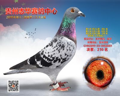 贵州志华决赛210名