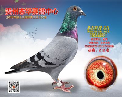 贵州志华决赛212名