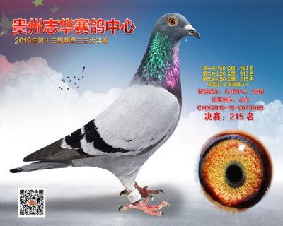 贵州志华决赛215名