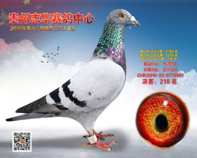 贵州志华决赛218名