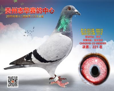 贵州志华决赛221名