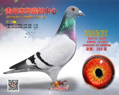 贵州志华决赛222名