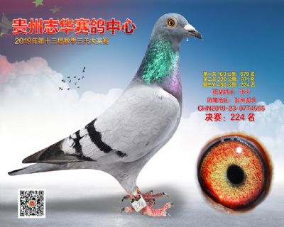 贵州志华决赛224名