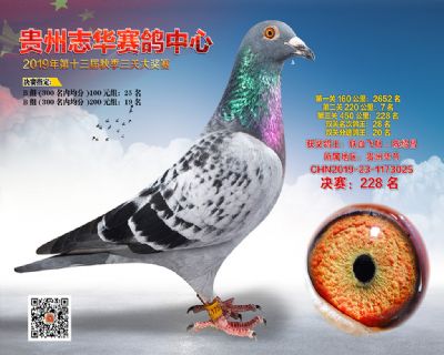 贵州志华决赛228名