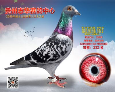 贵州志华决赛232名