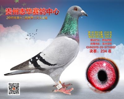 贵州志华决赛234名