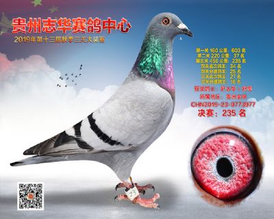 贵州志华决赛235名