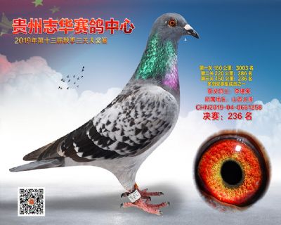 贵州志华决赛236名