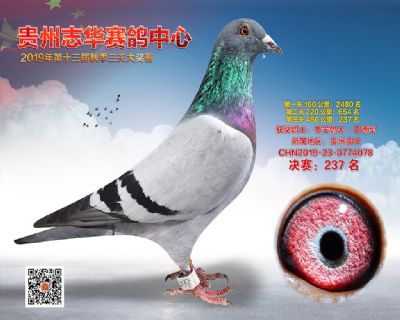 贵州志华决赛237名
