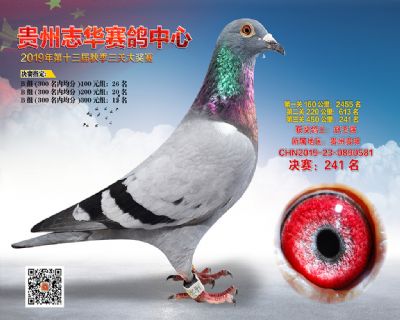 贵州志华决赛241名