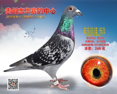 贵州志华决赛248名