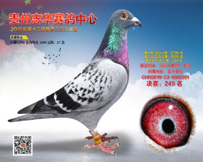 贵州志华决赛249名