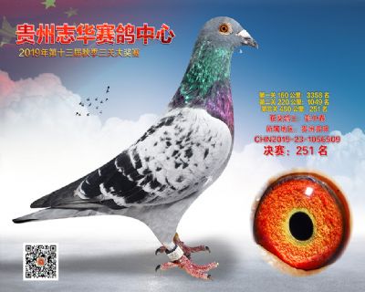 贵州志华决赛251名