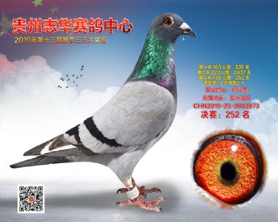 贵州志华决赛252名