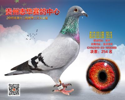 贵州志华决赛254名
