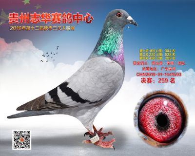 贵州志华决赛259名