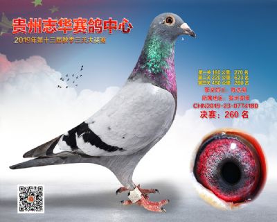 贵州志华决赛260名